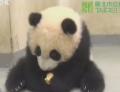_AС°ࡱه(li)(zh)  (i)ſ(sh)˱(890849fc-be02-c3f4-d1e6-c0728870c488).jpg